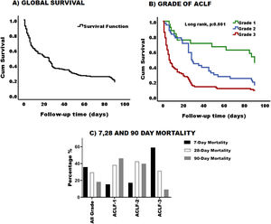 Survival and mortality in patiens with ACLF. (A) Graphic representation of cumulative survival during the 90-day follow up. After 90 days, only 18% of the cohort was still alive. (B) Survival was greater in patients with grade 1 and decreased as the degree of ACLF increases (log rank, p:0.001). Green line: Grade 1, blue line: Grade 2, and red line: Grade 3. (C) Percentage of 7, 28- and 90-day mortality based on ACLF grading.