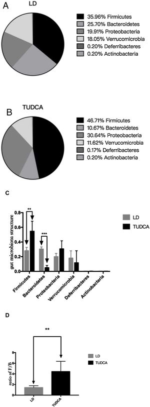 Changes in gut microbiota in LD group and TUDCA group *; P<0.05; **; P<0.01; ***; P<0.001. (A) Gut microbiota structure in LD group; (B) Gut microbiota structure in TUDCA group; (C) Changes in gut microbiota in LD group and TUDCA group; (D) LD group and TUDCA group changes in the ratio of F/B.