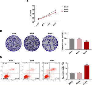 MiR-494-3p mimic inhibited viability and proliferation and induced apoptosis in HSCs. A. Cell Counting Kit (CCK)-8 assay showed that miR-494-3p inhibited HSC viability. B. Colony formation assay showed that miR-494-3p inhibited HSC proliferation. C. Flow cytometry assay showed that miR-494-3p induced HSC apoptosis. All experiments have been performed in triplicate and data were expressed as mean ± standard deviation (SD). **P < 0.01, ***P < 0.001 vs Mock group.