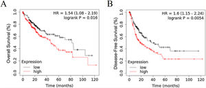 RRAGD expression level is elevated in HCC patients with poor prognosis. (A) Kaplan-Meier’s analysis of the correlation between RRAGD expression and overall survival (OS) of HCC patients from TCGA. (B) Kaplan-Meier’s analysis of the correlation between RRAGD expression and recurrence-free survival (RFS) of HCC patients from TCGA.