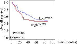 Effect of DMBX1 expression on the survival of HCC patients. Survival was determined by Kaplan-Meier analysis (P < 0.001). DMBX: diencephalon/mesencephalon homeobox 1.