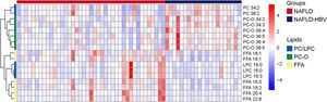 Heatmap of the differential serum lipid between NAFLD and NAFLD-HBV groups. Red denotes a relative increase, and blue denotes a relative decrease.