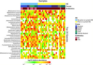 Heatmap of log 10 relative abundances of the top 30 species. Samples (rows) and taxa (columns) are sorted based on HE status (0 = no prior HE), cause of liver disease and antibiotic usage.