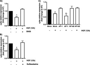 cyba (p22phox) transcriptional repression is driven by NF-κB. Primary mouse hepatocytes were pretreated with A) SN50, NF-κB peptide inhibitor or, B) sulfasalazine, NF-κB chemical inhibitor, for 30 min previous to HGF (50 ng/mL) treatment for 12 h. C) Binding competence of NF-κB by using decoy oligodeoxynucleotides (ODN). Each bar represents the average of at least three independent experiments ± SEM, * p < 0.05 vs NT.