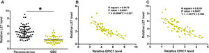 LET level was downregulated in GBC and was inversely correlated with EPIC1 level. LET expression in GBC and paracancerous tissues was measured by qPCR. Differences in LET expression levels between GBC and paracancerous tissues were explored by paired t test (A). Correlations between EPIC1 and LET levels in both tumor tissues (B) and paracancerous tissues (C) were analyzed by linear regression. qPCR was performed 3 times and data are presented as the mean values. * p<0.05.