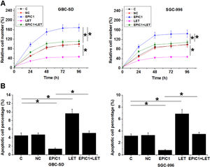 The interaction between EPIC1 and LET in regulating GBC cell proliferation and apoptosis. The effects of EPIC1 and LET overexpression on the proliferation and apoptosis of both GBC-SD and SGC-996 cells were analyzed by cell proliferation (A) and apoptosis (B) assays. All experiments were repeated 3 times and all data are presented as the values. *p<0.05.