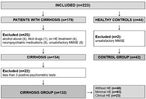 Flowchart of participants recruitment. HE: hepatic encephalopathy; MMSE: Mini-Mental State Examination.