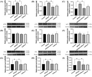 Caffeine prevents fibrosis by blocking the MAPK pathway in rats fed a high-fat, high-sucrose, high-cholesterol diet (HFSCD). The protein levels of pERK (A), pJNK (B), pp38 (C), ERK (D), JNK (E), and p38 (F) in liver tissue samples from the control, HFSCD, HFSCD + caffeine, and caffeine groups were determined by western blot analysis (n = 3), and β-actin was used as a control. pERK/ERK (G), pJNK/JNK (H) and pp38/p38 (I) ratios. The values are presented as fold increases in optical density values normalized to the values of the control group (control = 1). Each bar represents the mean value ± SE. (*) indicates P < 0.05.