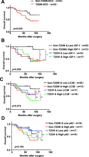 Kaplan–Meier survival analysis of IGF-1, LC3B and p62 expression in HCC patients (A) Kaplan–Meier analyses of overall survival in HCC patients with or without T2DM (n=33 for each group). (B-D) Kaplan–Meier analyses of overall survival in all of the HCC patients (with or without T2DM) in the study cohort classified by expression of mRNA for IGF-1, LC3B and p62. (B) Overall survival in T2DM and non-T2DM HCC patients classified into IGF-1 low and high groups according to the median. (C) Overall survival in T2DM and non-T2DM HCC patients classified into LC3B low and high groups according to the median. (D) Overall survival in T2DM and non-T2DM HCC patients classified into p62 low and high groups according to the median. * P<0.05.