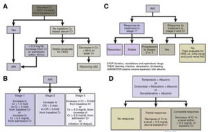 Diagnosis and treatment algorithms for hepatorenal syndrome - acute kidney injury (HRS-AKI). A: Diagnose AKI; B: Stage AKI; C: Differentiate AKI; D: Treat AKI-HRS and response to treatment.