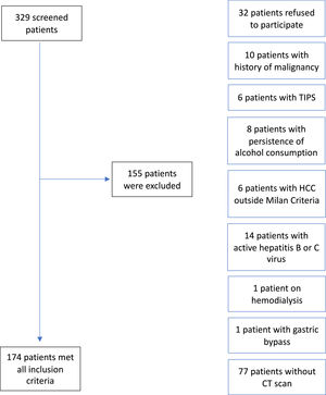 Overview of the study population TIPs: transjugular intrahepatic portosystemic shunt; HCC: hepatocellular carcinoma; CT: computed tomography.