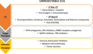 Treatment strategies for unresectable CCA. First line treatment for unresectable CCA is chemotherapy (CT), with gemcitabine and cisplatin; different agents have been proposed as second line chemotherapy and a clinical trial with FOLFOX is still ongoing in this setting. Target therapies against different molecular targets and immunotherapy have been proposed in the last few years as second and third line of treatment, alone or in combination (i.e. chemotherapy and target therapies, chemotherapy and immunotherapy, target and immunotherapy together). FGFR, fibroblast growth factor receptors; IDH, Isocitrate Dehydrogenase 1 and 2; ERBB2, HER familiy receptors; MAPK, Mitogen-Activated Protein Kinases; TRK, Tyrosine receptor kinase.