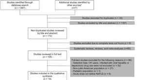 Study selection flow diagram. *Studies from other sources were obtained from the review of the bibliography of systematic reviews and meta-analyzes.