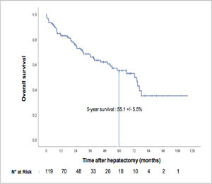 Overall survival curve.