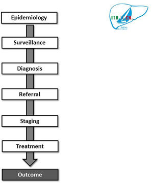 Main clinical practice steps of hepatocellular carcinoma evaluated by the ITA.LI.CA studies.