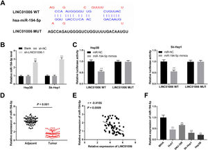 LINC01006 acted as a sponge of miR-194-5p. (A) The binding sequence between LINC01006 and miR-194-5p was predicted by LncBase Predicted v.2. (B) Relative expression of miR-194-5p in Hep3B and Sk-Hep1 cells was detected by quantitative real-time polymerase chain reaction (qRT-PCR). ⁎⁎P < 0.01, vs. sh-NC. (C) The interaction between LINC01006 and miR-194-5p in Hep3B and Sk-Hep1 cells was confirmed by dual-luciferase reporter (DLR) assay. ⁎⁎P < 0.01, vs. miR-negative control (NC). (D) Relative expression of miR-194-5p was detected by qRT-PCR in tumour tissues and adjacent normal tissues. P < 0.001, vs. Adjacent normal tissues. (E) Correlation analysis of LINC01006 and miR-194-5p in hepatocellular carcinoma (HCC) tissues. P = 0.0009. (F) Relative expression of miR-194-5p in HepG2, Hep3B, SMMC-7721, Sk-Hep1 and LO2 cells was determined by qRT-PCR. ⁎⁎P < 0.01, vs. LO2.