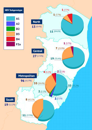 Hepatitis B Virus subgenotypes found in the four macro-regions of Espírito Santo (ES) State.