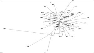 Phylogenetic analysis of HCV NS5B region sequences from O'Brien isolates.