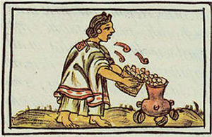 Mexica woman throws corn kernels into the pot for nixtamalization. Florentine Codex, book 5, 16r.