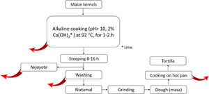 Scheme of the steps in the typical process of nixtamalization of maize kernels to produce "tortillas." Red arrows indicate the potential points of elimination or (bio)chemical transformation of Aflatoxins. Nejayote is the liquid or "lime broth ashes" discarded after steeping cooked maize containing aflatoxins. Ca(OH)2 is in the form of lime.