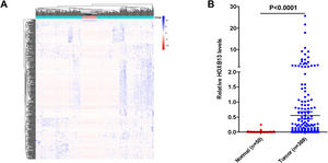 HOXB13 overexpressed in HCC tumors by bioinformatics analysis a. The heatmap of the top 500 genes by differential fold. b. The expression of HOXB13 in the TGCA database.