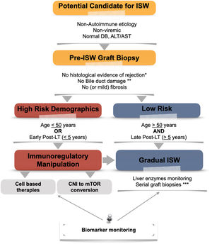 Proposed algorithm for the approach to immunosuppression withdrawal. CNI, calcineurin inhibitor; DB, direct bilirubin; ISW, immunosuppression withdrawal; LT, liver transplantation; mTOR, mammalian target of rapamycin. * According to Banff Criteria for acute and chronic rejection [81]. **Unless an alternative non-immunological explanation is present. ***Depending on biomarker and liver enzymes monitoring.