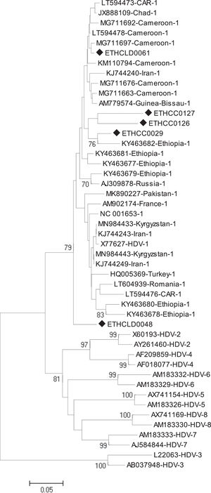 Phylogenetic analysis of the five HDV isolates based on a partial LHDAg (indicated with a black diamond symbol) with HDV sequences of genotypes 1-8 retrieved from GenBank. Reference strains were designated by their accession number, country of origin, and genotypes.