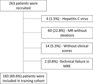 Study population training cohort flowchart. MR, magnetic resonance; MRE, magnetic resonance elastography