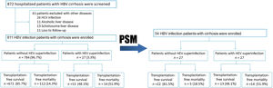 Flow chart of study sample selection. A total of 811 HBV cirrhosis patients with or without HEV co-infection were selected, and then propensity score matched with 1:1. HBV, hepatitis B virus; HCV, hepatitis C virus; HEV, hepatitis E virus
