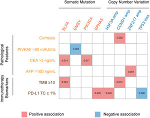 The association of genomic aberrations in HCC with clinicopathological features, TMB and PD-L1 expression. The value of ≥10 mut/Mb was defined as the TMB-high level, and PD-L1 positivity was defined when the value of PD-L1 positive tumor cells was more than 1. Abbreviations: protein induced by vitamin K absence/antagonist-II (PIVKA-II), carcinoma embryonic antigen (CEA), alpha fetoprotein (AFP), tumor mutation burden (TMB), programmed cell death ligand-1 (PD-L1), tumor cells (TC).