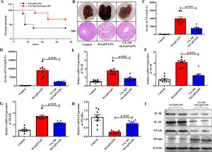 VX-765 protected against ALF in vivo. (A) The survival rate of mice treated with D-GalN/LPS and VX-765+D-GalN/LPS was analyzed (n=10). (B) The gross morphology and HE staining of livers in each group. (C-D) Serum transaminase levels in the three groups (n=8). (E-H) Gene expressions of IL-1β, IL-18, NF-κB and PPARα were detected by qRT-PCR (n=8). (I) The associated protein expressions were analyzed by western blotting. Representative western blots of two samples from each group were displayed.