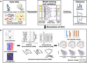 Deep learning based multi-omics integration robustly identify HCC prognostic markers. (A): Input data including radiology images, histopathology section images, mRNA, DNA methylation and miRNA features are stacked up for autoencoder. Each transformed feature in the bottle neck layer of autoencoder is subject to single variate Cox-pH models, to choose the features associated with survival and identify survival-risk groups. (B): Those input features are ranked by ANOVA test F-values, those features that are in common with the predicting dataset are selected, then top features are used to build ANN and CNN models to predict risk labels for new samples. DNB model takes advantage of the dynamic nature of the data to predict critical transformations in complex diseases.