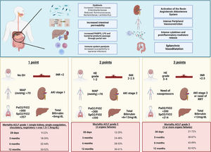 ACLF grades and mortality.