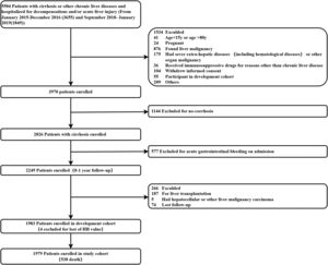 Flowchart of the study cohort.