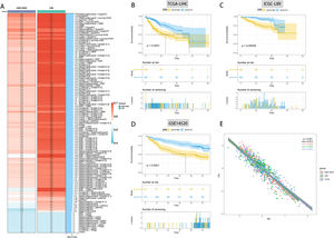 Machine learning builds optimal diagnostic models. (A) C-index heatmap of different diagnostic models in the validation set. Survival analysis of the optimal diagnostic models in TCGA-LIHC (B), ICGC-LIRI (C) and GSE14520 (D). (E) Correlation analysis of FPI with the optimal diagnostic model in the three datasets.(FPI: fatty acid prediction index).