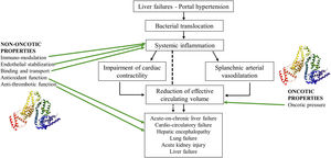 Pathophysiology of complications of cirrhosis and protective properties of albumin.