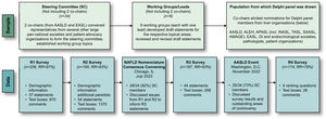 Summary of the Delphi process. The top section depicts the iterative sampling approach employed to generate a large, diverse Delphi panel (267 experts invited and 225 participated across the 4 rounds). The 2 co-chairs, from AASLD and EASL, respectively, convened representatives from several other large pan-national societies and patient advocacy organisations to form the Steering Committee. This group identified 6 topics/working groups that led the development of a preliminary set of consensus statements, which were reviewed by the larger steering committee and subsequently revised. The co-chairs elicited nominations for Delphi panel members from a diverse group of liver organisations. The bottom section depicts the 4 survey rounds (R1–R4) of data collection from the full Delphi panel, which involved panelists’ indicating their level of agreement/disagreement (i.e., consensus) with statements in each survey round, as well as the ability to provide comments in open-ended text boxes. Draft consensus statements were revised based on panelists’ comments for subsequent rounds. Two large expert convenings were held following R2 and R3 to permit group discussion of issues raised from the survey data collection components of the Delphi methodology. Abbreviations: AASLD, American Association for the Study of Liver Diseases; ALEH, Asociación Latinoamericana para el Estudio del Hígado (Latin American Association for the Study of the Liver); AMAGE, African Middle East Association of Gastroenterology; APASL, Asian Pacific Association for the Study of the Liver; EASL, European Association for the Study of the Liver; GI, gastrointestinal; INASL, Indian National Association for the Study of the Liver; RR, response rate; SAASL, South Asian Association for the Study of the Liver; TASL, Taiwan Association for the Study of the Liver.