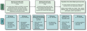 Summary of the Delphi process. The top section depicts the iterative sampling approach employed to generate a large, diverse Delphi panel (267 experts invited and 225 participated across the 4 rounds). The 2 co-chairs, from AASLD and EASL, respectively, convened representatives from several other large pan-national societies and patient advocacy organisations to form the Steering Committee. This group identified 6 topics/working groups that led the development of a preliminary set of consensus statements, which were reviewed by the larger steering committee and subsequently revised. The co-chairs elicited nominations for Delphi panel members from a diverse group of liver organisations. The bottom section depicts the 4 survey rounds (R1–R4) of data collection from the full Delphi panel, which involved panelists’ indicating their level of agreement/disagreement (i.e., consensus) with statements in each survey round, as well as the ability to provide comments in open-ended text boxes. Draft consensus statements were revised based on panelists’ comments for subsequent rounds. Two large expert convenings were held following R2 and R3 to permit group discussion of issues raised from the survey data collection components of the Delphi methodology. Abbreviations: AASLD, American Association for the Study of Liver Diseases; ALEH, Asociación Latinoamericana para el Estudio del Hígado (Latin American Association for the Study of the Liver); AMAGE, African Middle East Association of Gastroenterology; APASL, Asian Pacific Association for the Study of the Liver; EASL, European Association for the Study of the Liver; GI, gastrointestinal; INASL, Indian National Association for the Study of the Liver; RR, response rate; SAASL, South Asian Association for the Study of the Liver; TASL, Taiwan Association for the Study of the Liver.