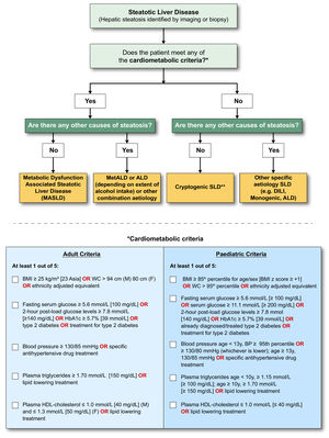 MASLD diagnostic criteria. In the presence of hepatic steatosis, the finding of any CMRF would confer a diagnosis of MASLD if there are no other causes of hepatic steatosis. If additional drivers of steatosis are identified, then this is consistent with a combination aetiology. In the case of alcohol, this is termed MetALD. In the absence of overt cardiometabolic criteria, other aetiologies must be excluded, and if none is identified, this is termed cryptogenic SLD although, depending on clinical judgment, it could also be deemed to be possible MASLD and, thus, would benefit from periodic reassessment on a case-by-case basis. In the setting of advanced fibrosis/cirrhosis, steatosis may be absent, requiring clinical judgment based on CMRFs and absence of other aetiologies. Abbreviations: ALD, alcohol-associated/related liver disease; BMI, body mass index; BP, blood pressure; CMRF, cardiometabolic risk factors; DILI, drug-induced liver disease; MetALD, metabolic dysfunction and alcohol associated steatotic liver disease; SLD, steatotic liver disease; WC, waist circumference.