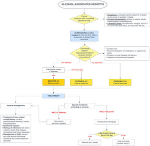 Proposed Algorithm for the Diagnosis and Treatment of Alcohol-Associated Hepatitis.