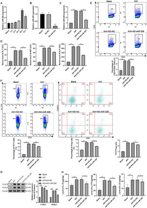 Knockdown of miR-326 ameliorated AIH in mice. (A) The expression level of miR-326 was detected by qRT-PCR in concanavalin A-induced AIH mice at different time points. (B) The expression level of miR-326 was detected by qRT-PCR in mice treated with antagomiR-326 or antagomiR-NC. (C) The expression level of miR-326 was detected by qRT-PCR in AIH mice treated with antagomiR-326 or antagomiR-NC. (D) The liver function of mice was tested by commercial kits. (E) The percentage of CD3+/CD4+T cells in mice was evaluated by flow cytometry. (F) The percentage of Th17 and Treg cells in liver tissue was evaluated by flow cytometry. (G) The expression of protein markers of Th17 and Treg cells in liver tissue were detected by western blot. (H) The levels of protein markers of Th17 and Treg cells in mice were evaluated by ELISA. *: P < 0.05 and **: P < 0.01. ALT, alanine aminotransferase; AST, aspartate aminotransferase; ALP; alkaline phosphatase.