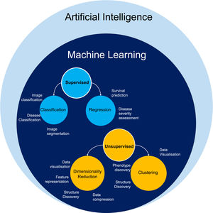Schematic representation of the relationship between Artificial Intelligence and Machine Learning (ML), with ML algorithm categories and their applications.
