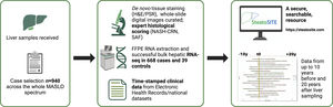 SteatoSITE Data Commons overview. The right panel includes a schematic diagram in which horizontal lines represent individual patient timelines decorated with a variable amount of multimodal data preceding or following the date of liver tissue sampling (time zero, indicated by the vertical yellow line). MASLD, metabolic dysfunction-associated steatotic liver disease; H&E, hematoxylin and eosin; PSR, picro-sirius red; NASH-CRN, Non-alcoholic steatohepatitis-Clinical Research Network; SAF, Steatosis, Activity, Fibrosis; FFPE, formalin-fixed paraffin-embedded; RNA-seq, RNA-sequencing.