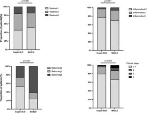 Histologic degree of steatosis, inflammation, ballooning, and stages of fibrosis in MASLD and Cryptogenic-SLD. MASLD, metabolic associated steatotic liver disease; SLD, steatotic liver diseases.