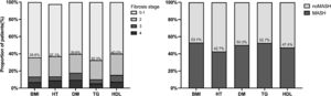 Distribution of fibrosis stages and proportion of MASH among five subgroups. Patients with MASLD were divided according to the five admission criteria: overweight (BMI group), hypertension (HT group), type 2 diabetes (T2DM group) and two hyperlipidemia risk factors (TG and HDL group).