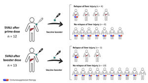 Rate of relapse of SARS CoV-2 vaccine-induced liver injury after rechallenge and impact of concomitant immunosuppression. This diagram shows patients with initial SVALI after prime (n=12) or booster dose (n=13), and the occurrence of relapse according to the presence or absence of concomitant immunosuppressant therapy. Overall, the risk of relapse was statistically lower in those undergoing immunosuppression at the time of vaccine rechallenge (28.6 % vs. 88.9 %, p=0.007). SVALI, SARS CoV-2 vaccine-induced liver injury.