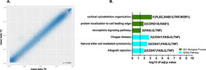 DNA methylation profiles at single CpG sites. A. Scatterplot of the mean beta values for the pairwise comparison T2 vs. T0 at single CpG sites. Red dots in scatterplots represent the most significantly differently methylated sites with FDR (pAdj. value <0.05) and the best-ranked sites. B. Top GO terms and pathways enriched using g: Profiler were obtained for the genes targeted by the 39 probes showing differential methylation at the CpG site level. The set of genes for GO/Pathway enriched was represented by the number at the right of each horizontal bar. The vertical dashed lines represent significant at p≤0.05.