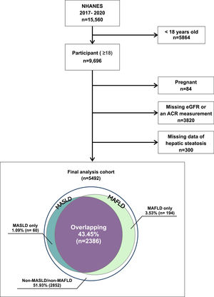 Study flowchart and the population of MAFLD, MASLD and non-MAFLD/non-MASLD patients. The Venn diagram indicates the proportions of patients with MAFLD and patients with MASLD.