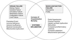 Pathophysiology and relation between organ failure, sarcopenia, and frailty in the acute-on-chronic liver failure setting.