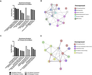 Functional Enrichment and protein-protein interaction networks analysis of DEGs induced by HCV NS5A expression in Huh7 co-cultured with LX2 cells. The fibrosis-related genes evaluated by the RT2 Profiler human fibrosis PCR Array were analyzed with Enrichr and STRING bioinformatic platforms. (A) Signaling pathway enrichment and Gene Ontology analysis of the DEGs genes at 48 h. (B) Interaction networks of proteins from DEGs at 48 h of co-culture associated with different cellular functions from STRING analysis. (C) Signaling pathway enrichment and Gene Ontology analysis of the DEGs genes at 72 h. (D) Interaction networks of proteins from DEGs at 72 h of co-culture associated with different cellular functions from STRING analysis.